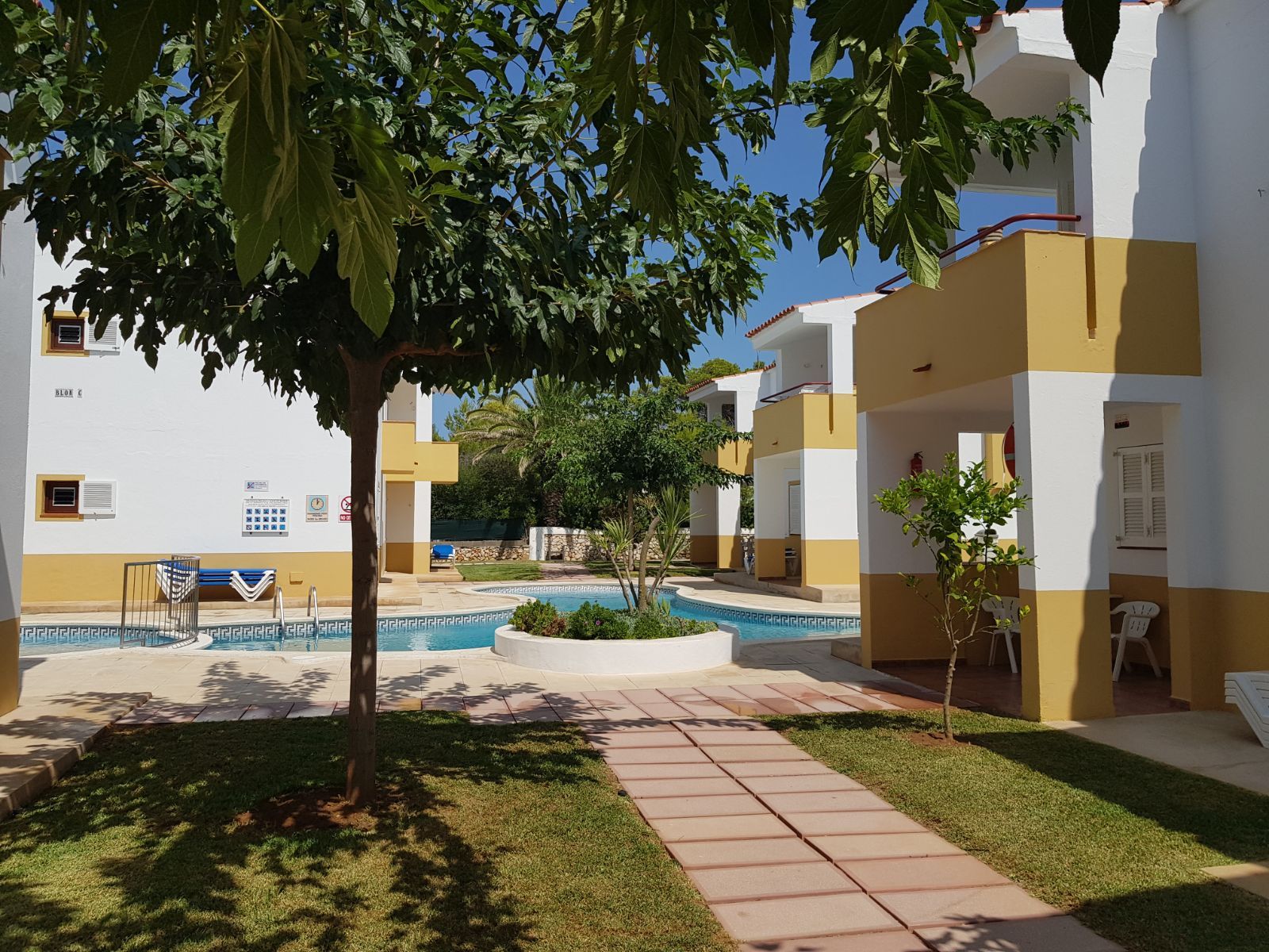 Jardín sombra árboles